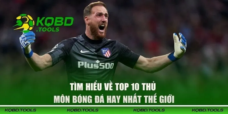 Top 10 Thủ Môn Bóng Đá Hay Nhất Thế Giới Bạn Cần Nắm 1 Tìm hiểu về top 10 thủ môn bóng đá hay nhất thế giới